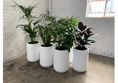 Plant Pots Melbourne: The Largest and Most Diverse Collection of Plant Pots in Town