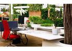Top Tips for Selecting Office Plants in Melbourne