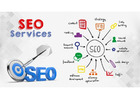 Boost Your Online Presence: Professional SEO Services with SeoSpidy