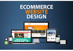 Expert Ecommerce Website Development Services in Gurgaon